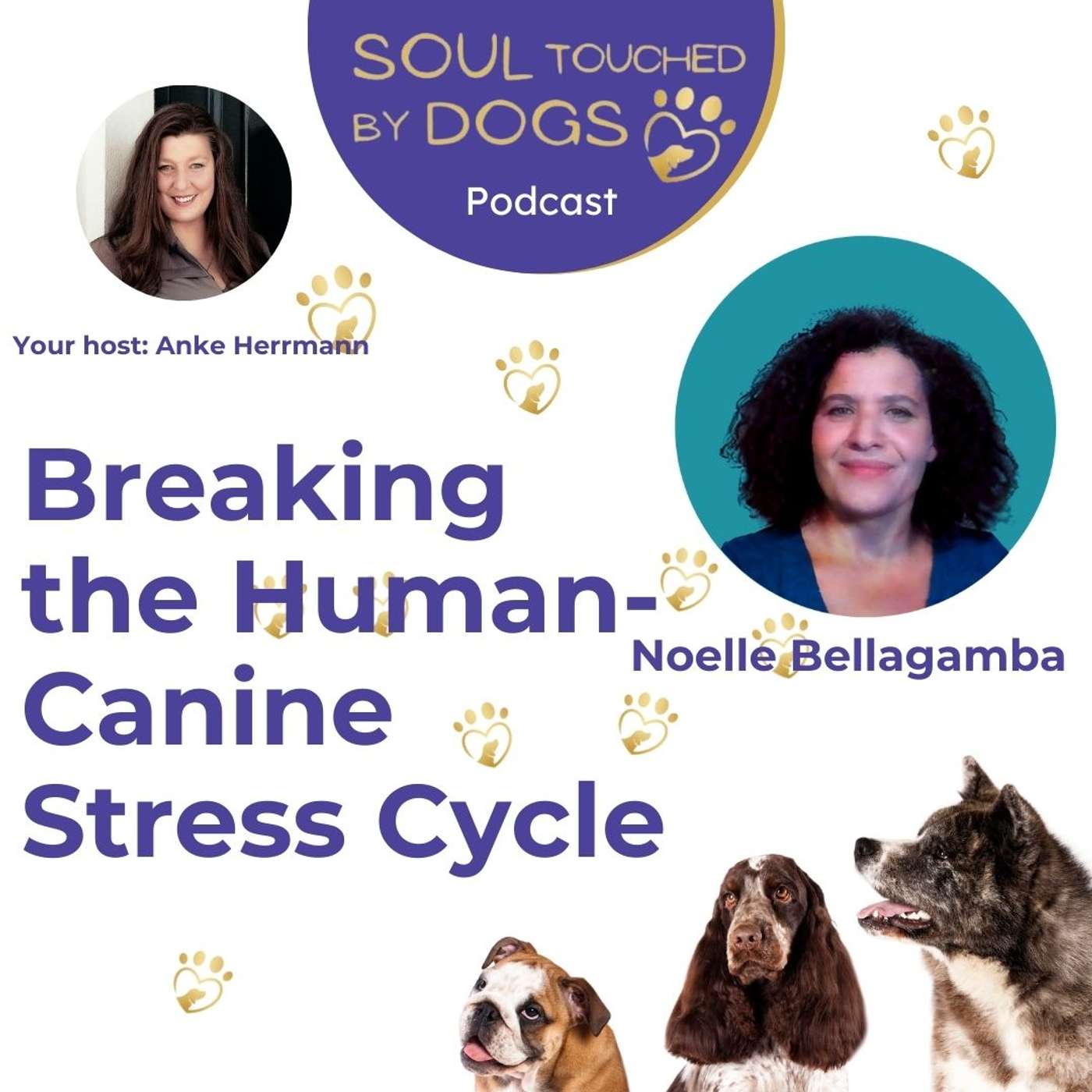 Noelle Bellagamba - Breaking the Human-Canine Stress Cycle: The Art of Healing Dogs and Their Humans