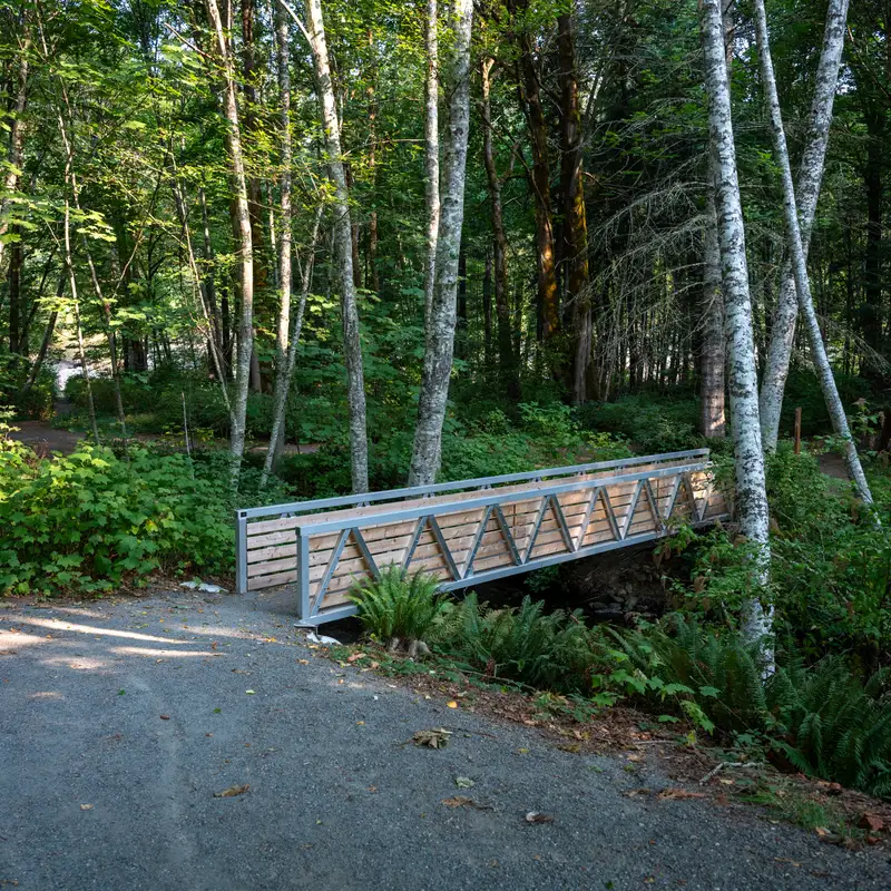 City of Courtenay pauses Bear James Park Trail Project due to community concerns