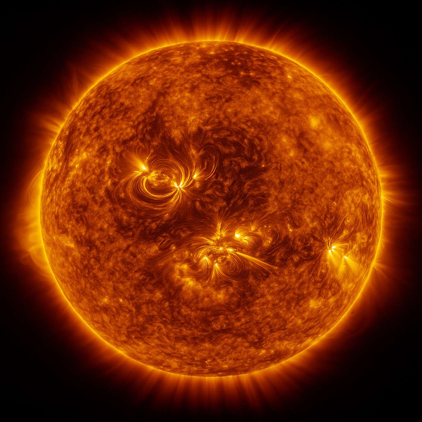 Solar Reality - A Radical Reassessment of Life, Intelligence, and Causality