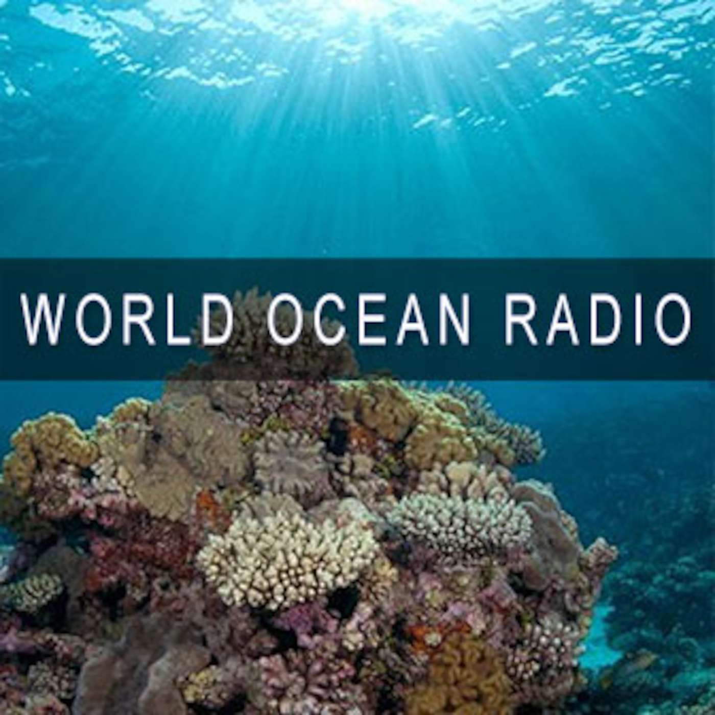 Ocean Alchemy: Clean Water for Kiunga and Beyond