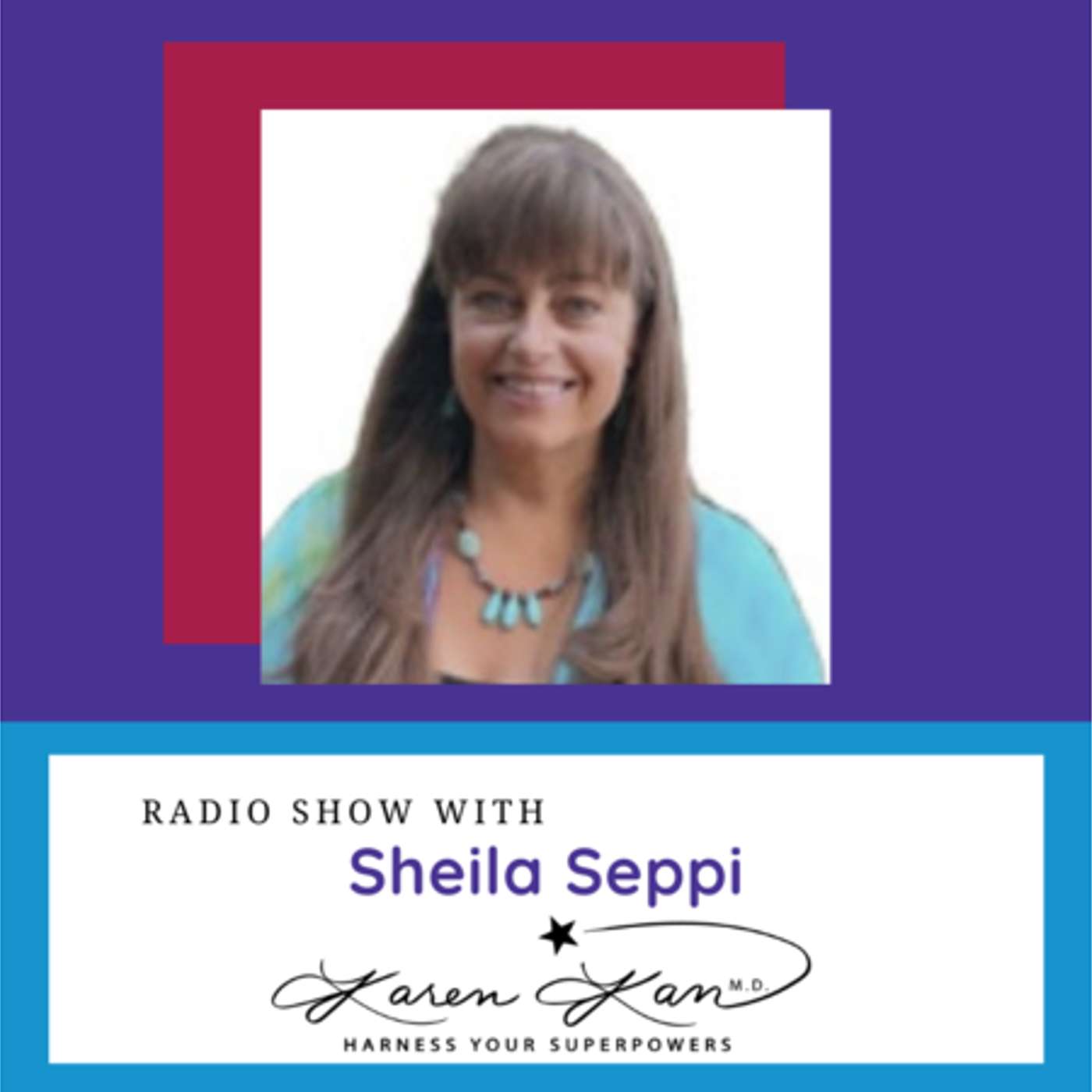 Walk-in’s, Soul Types, and Cosmic Origins with Sheila Seppi episode artwork