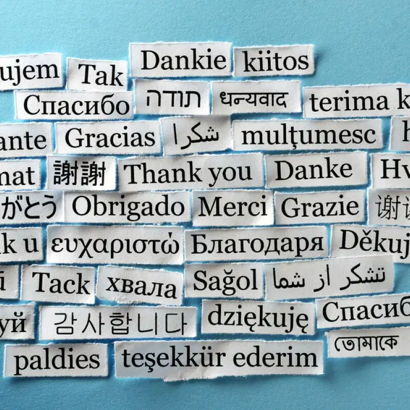 The Best Of Archive Show November 24, 2021 Hour 3