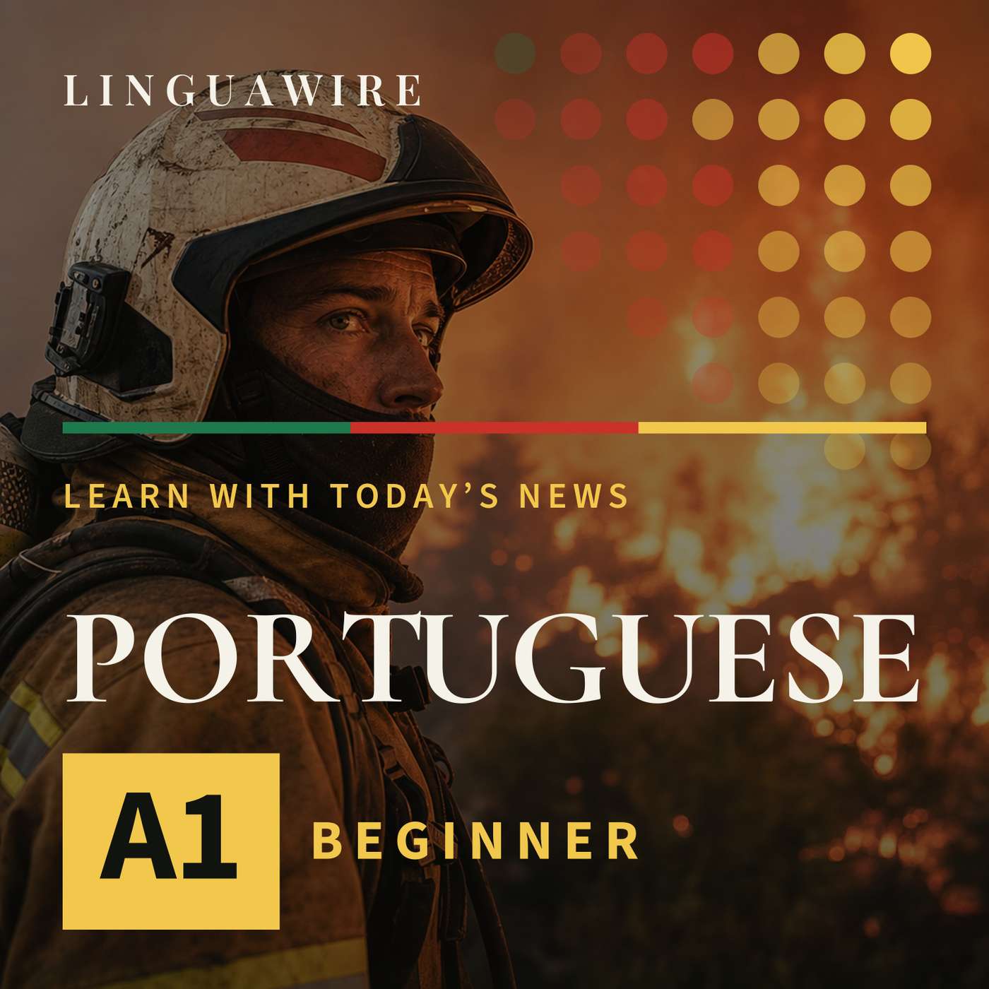 A1 European Portuguese News | Can Belgium Stop the 3,000-Hectare Wildfire?
