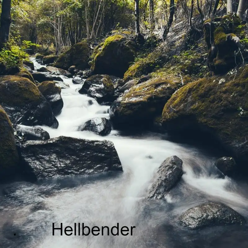 Hellbender