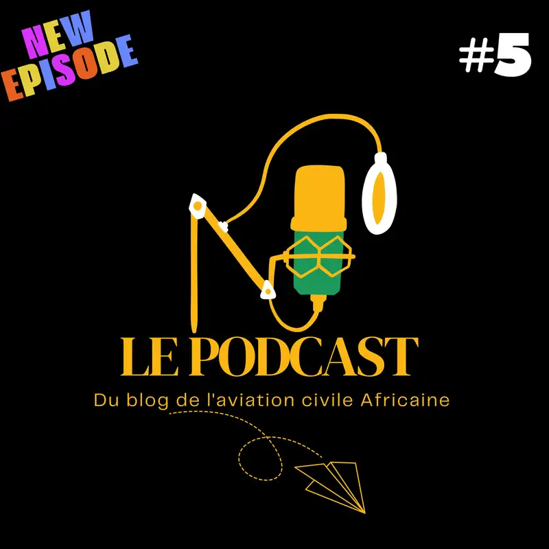 📌 Météorologie aéronautique : L'aviation Civile face au dérèglement climatique
