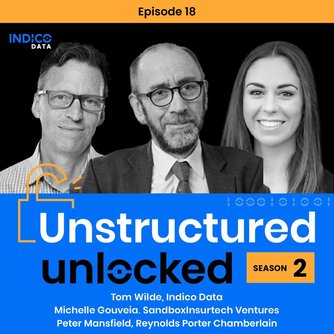 AI in Revolutionizing Data Processing with Peter Mansfield, Partner at Reynolds Porter Chamberlain