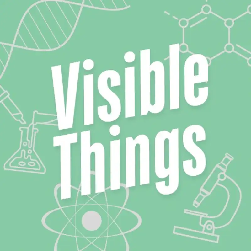 Visible Things: James Webb Space Telescope