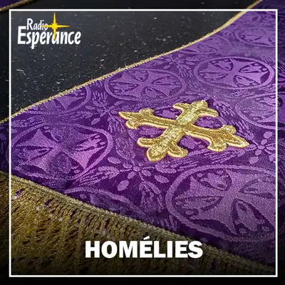 Les homélies des dimanches et jours de fête