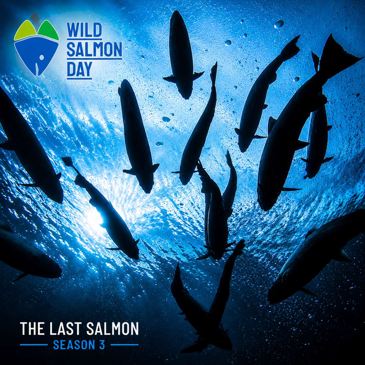 The Fight for Wild Salmon: Lessons from Around the World episode artwork