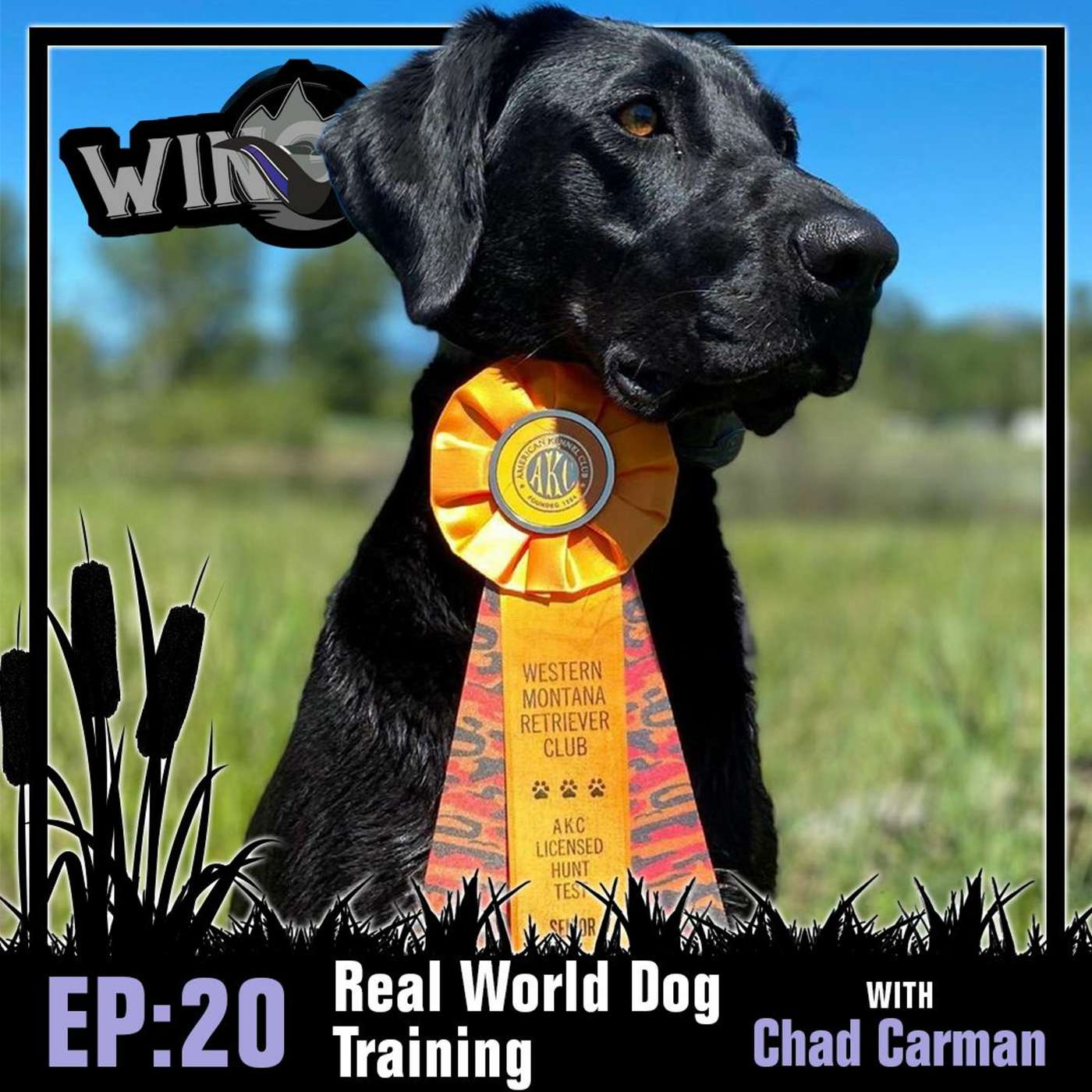 Episode 20: Real World Dog Training w/ Chad Carman episode artwork