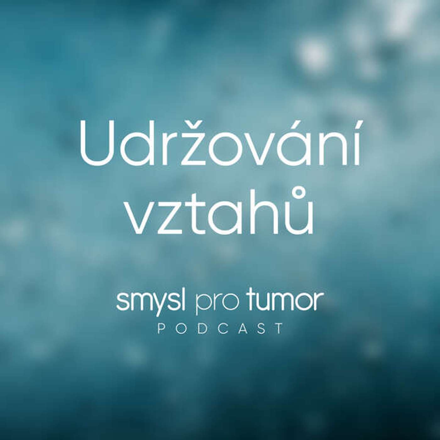 Udržování vztahů – Partnerský a sexuální život onkologicky nemocných pacientů episode artwork