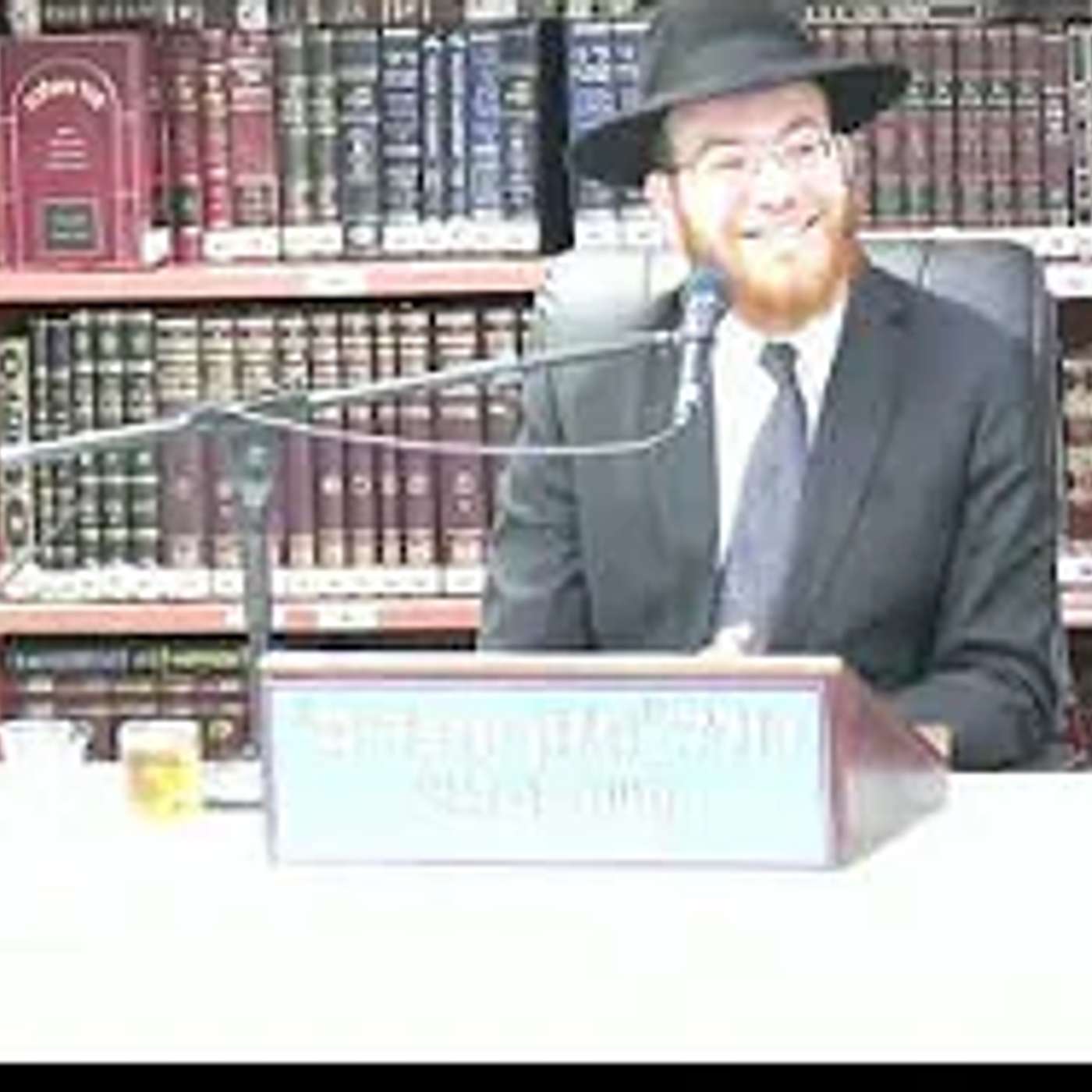 הרב יעקב סיני :  תקופת בין המיצרים -  סוגיות הלכתיות ועניינים מעשיים .