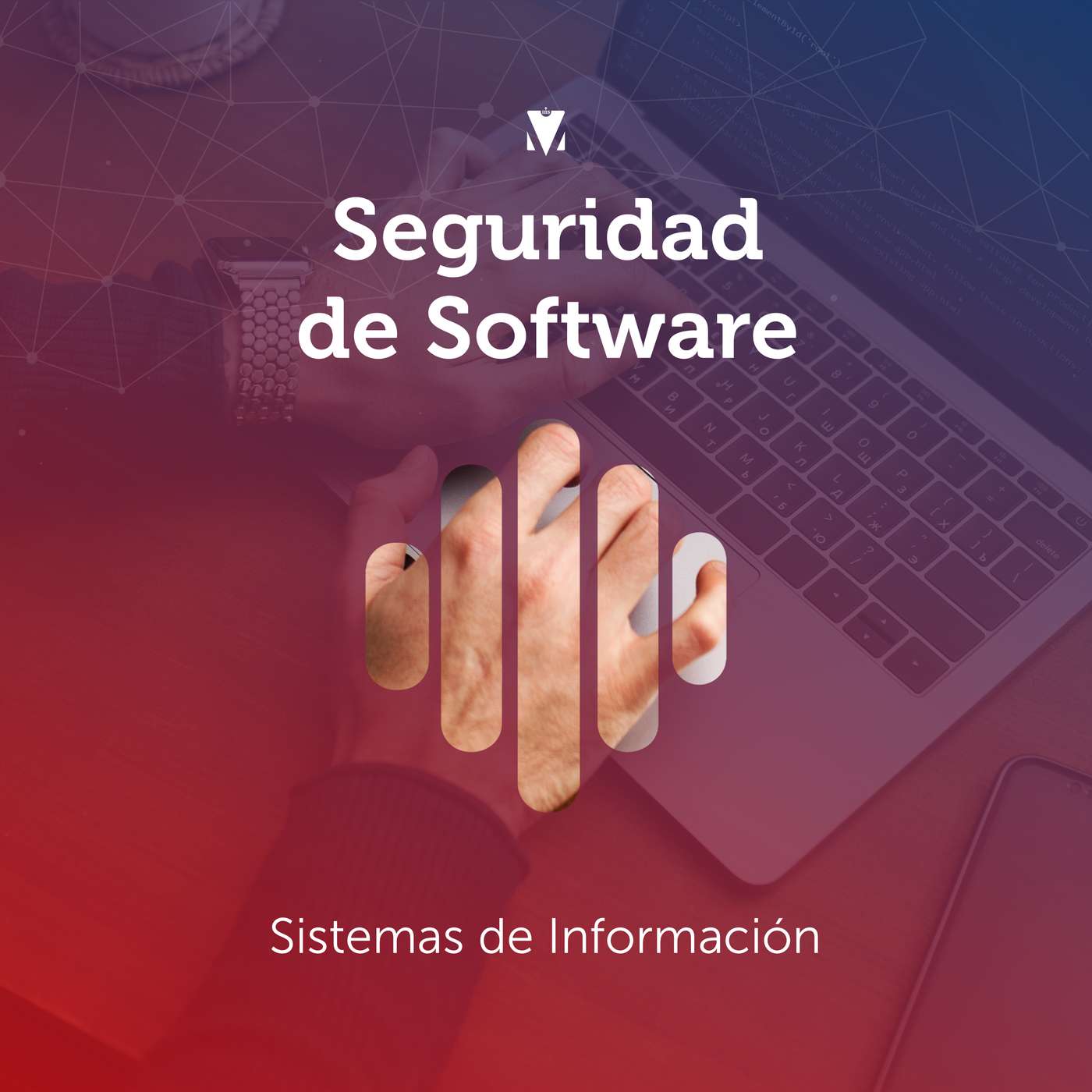 1 - SEGURIDAD DE SOFTWARE: Sistemas de Información