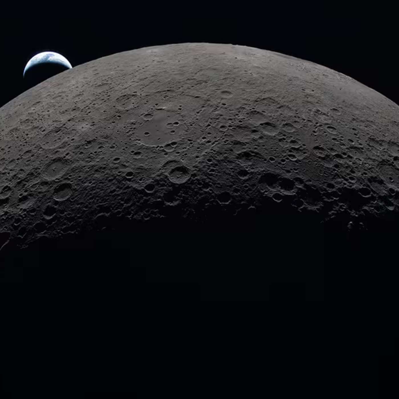 Earth Microbes Survive Moon, HaloRasAR Reveals Real Time Ras Activity, AI Risks Haunt Healthcare Governance, Tsetse Fly Bite Secrets, and more...