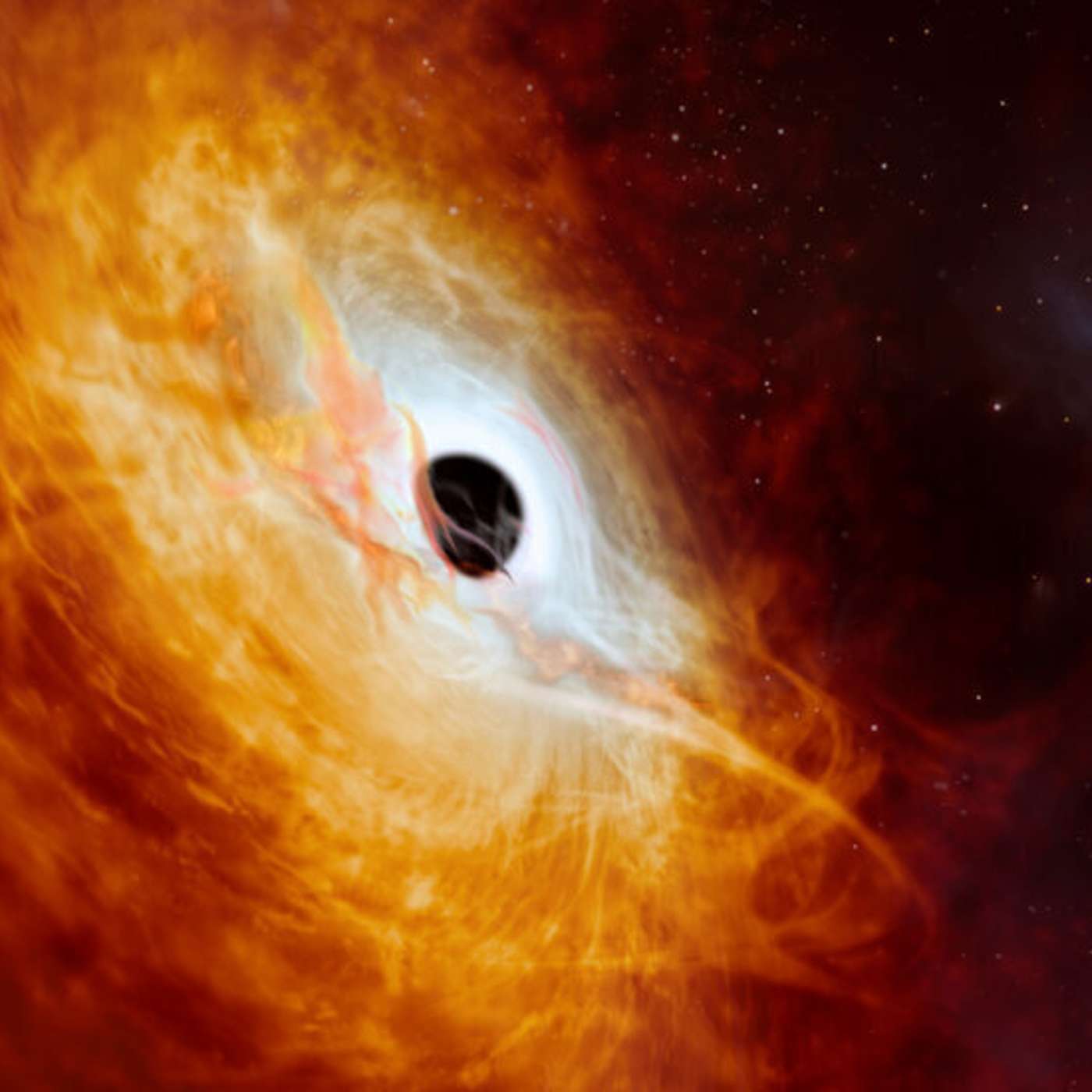 Odysseus Enters Lunar Orbit, Record-Breaking Black Hole Devours Sun, Human Controls Mouse with Mind, Harvard's New Superbug Treatment, and more...