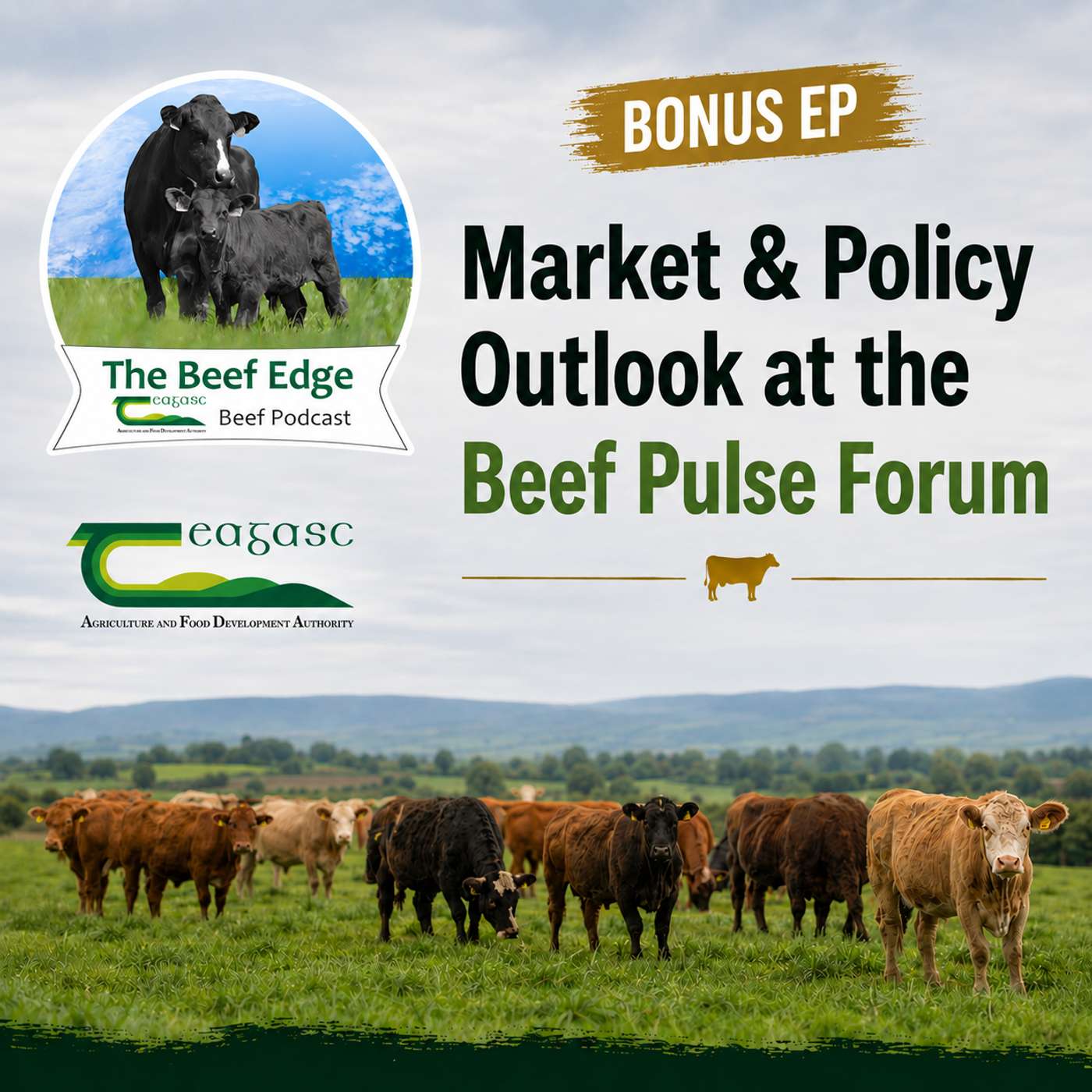 Bonus Ep: Market & Policy Outlook at the Beef Pulse Forum episode artwork
