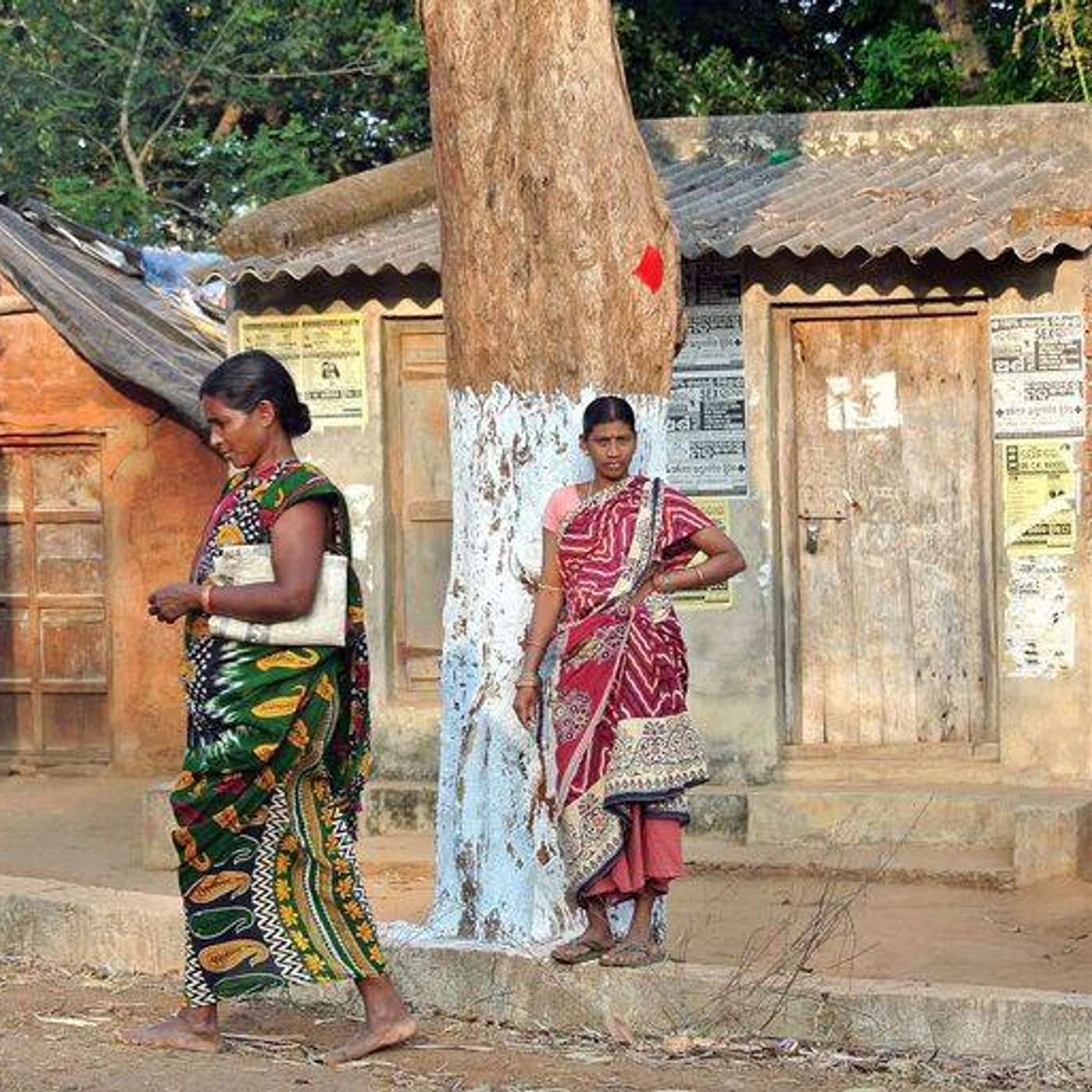 A guide to Ethical Tribal Tourism in Odisha episode artwork