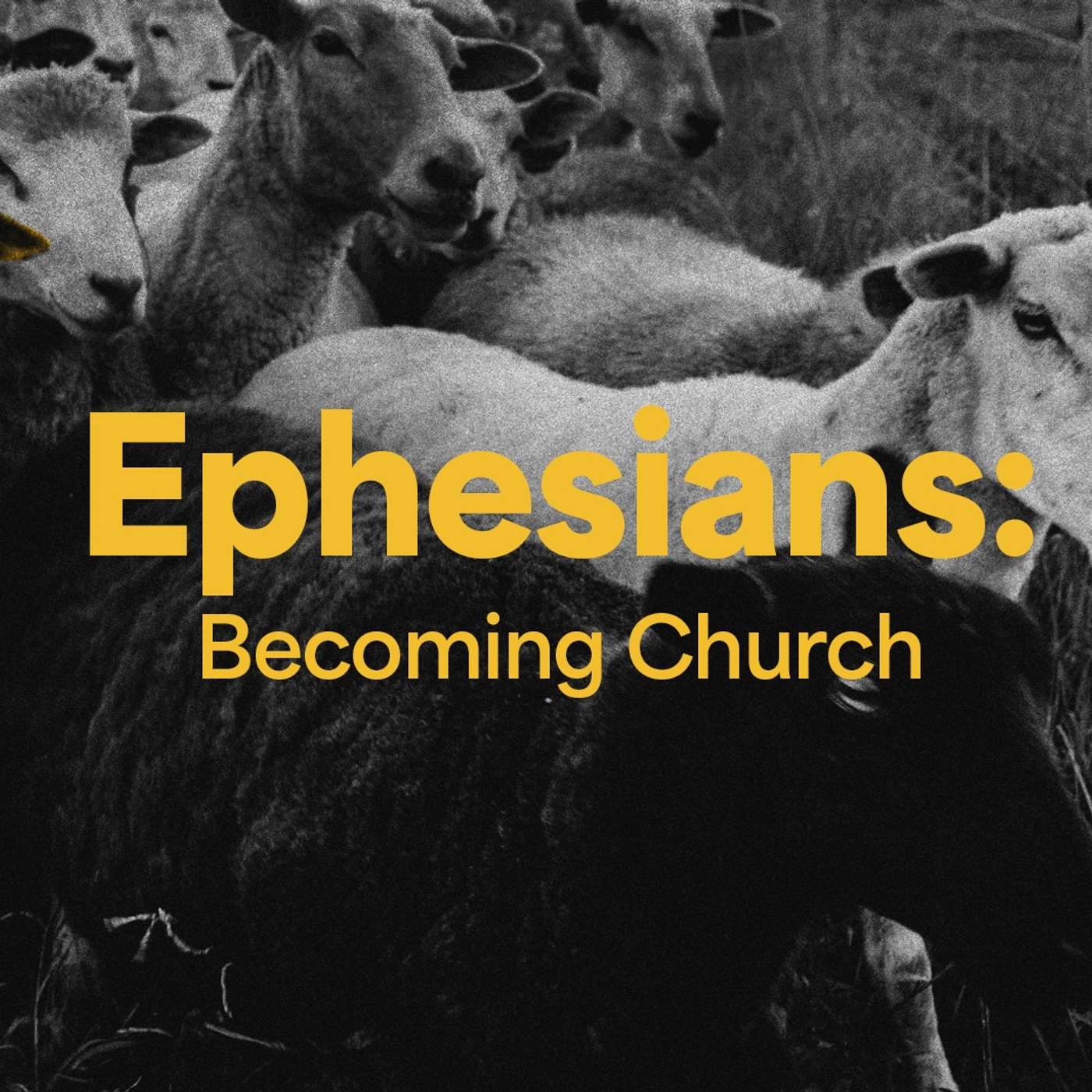 Ephesians Week 2: Saints episode artwork