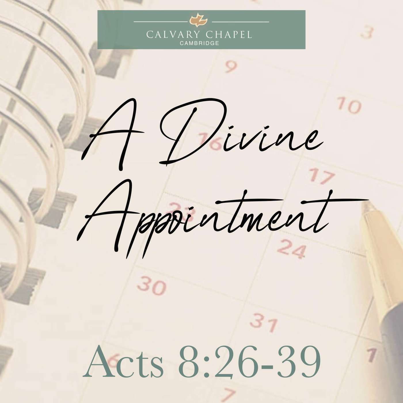 A Divine Appointment