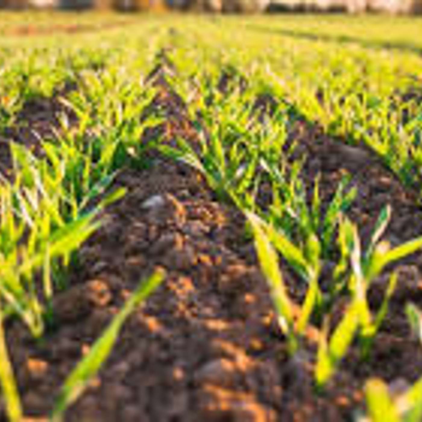 Grand Format - Radio Fidélité