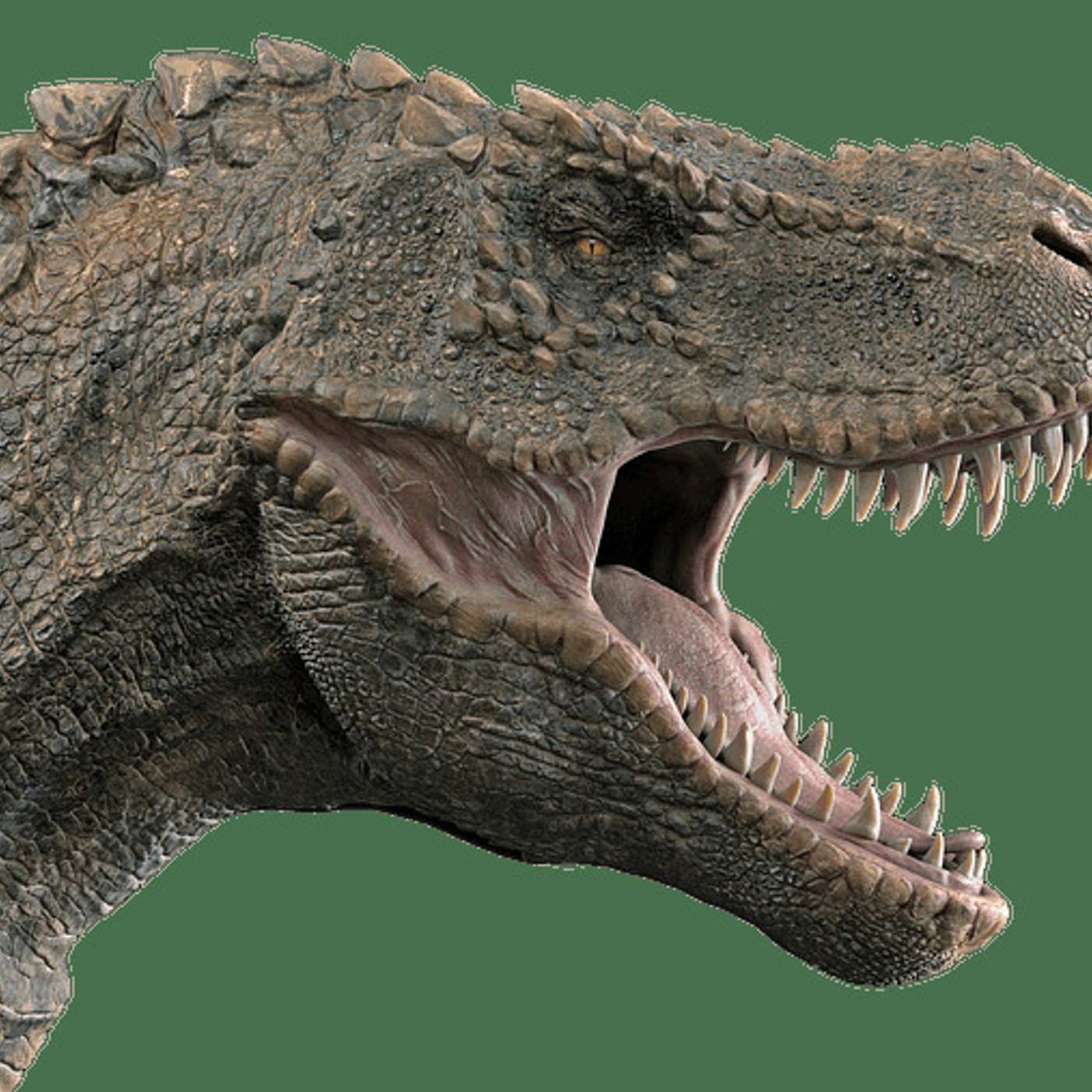 Nature and Science 4 Kids