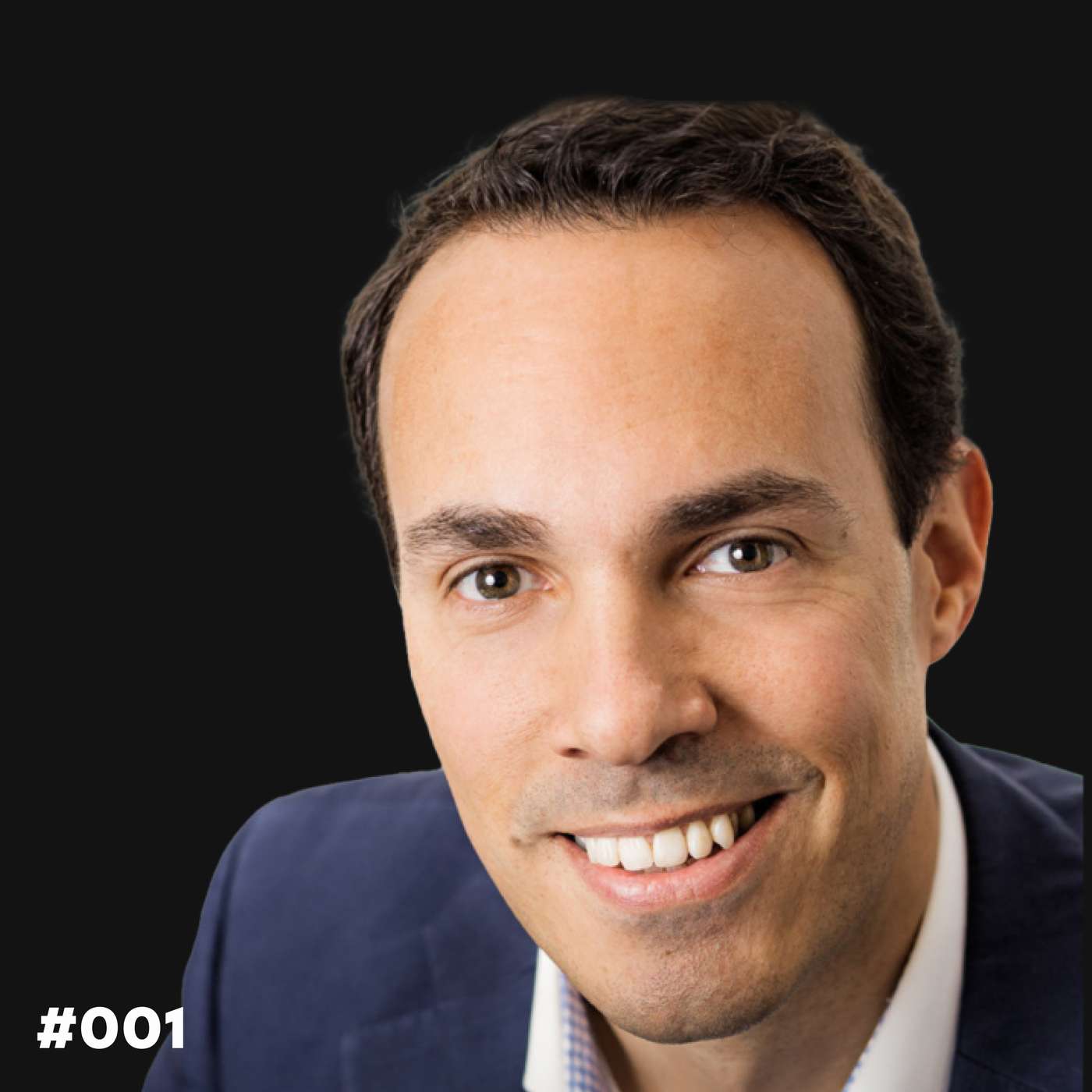 Die Dominik Liss Show (WordPress & Business Talks)