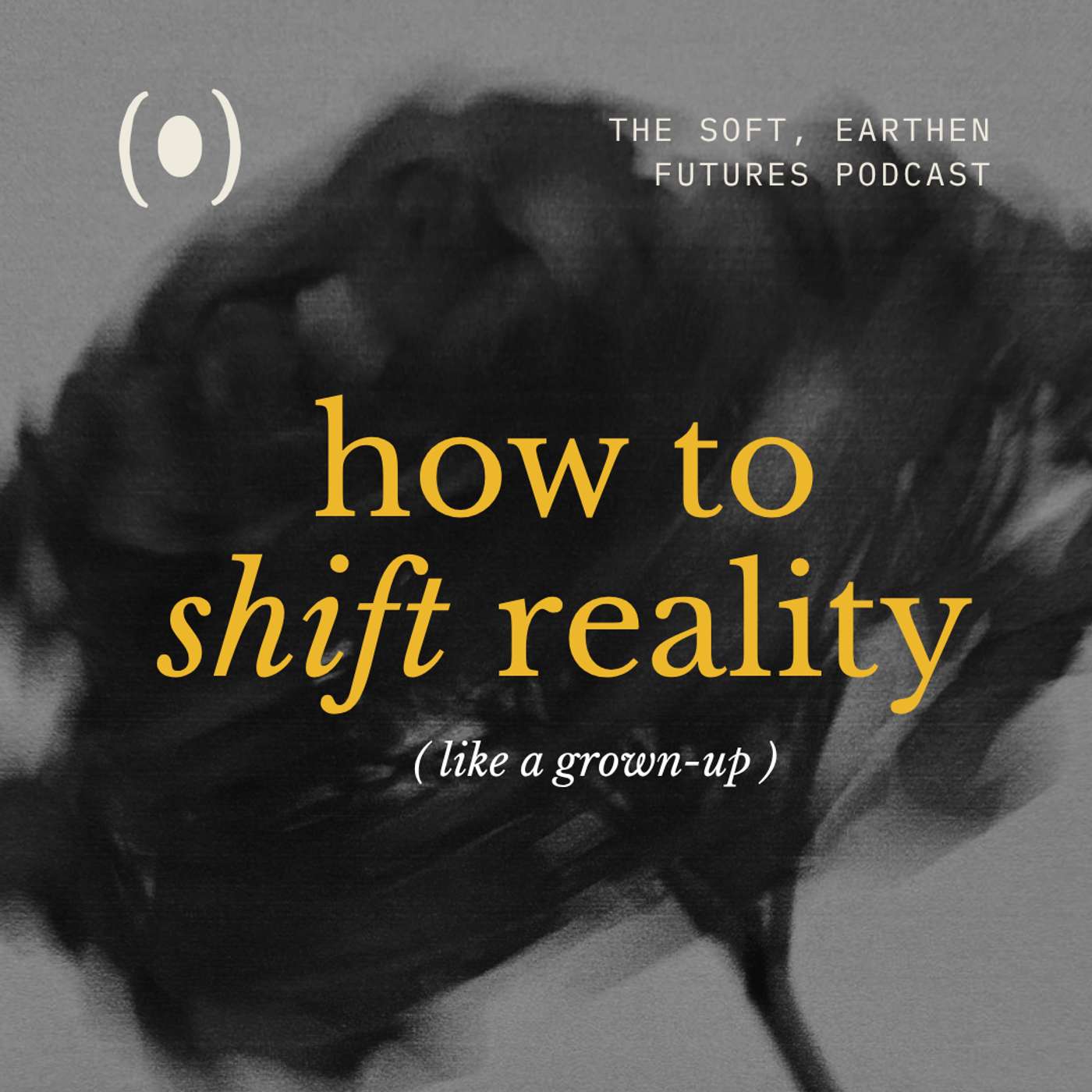 How to Shift Reality (for grown ups)