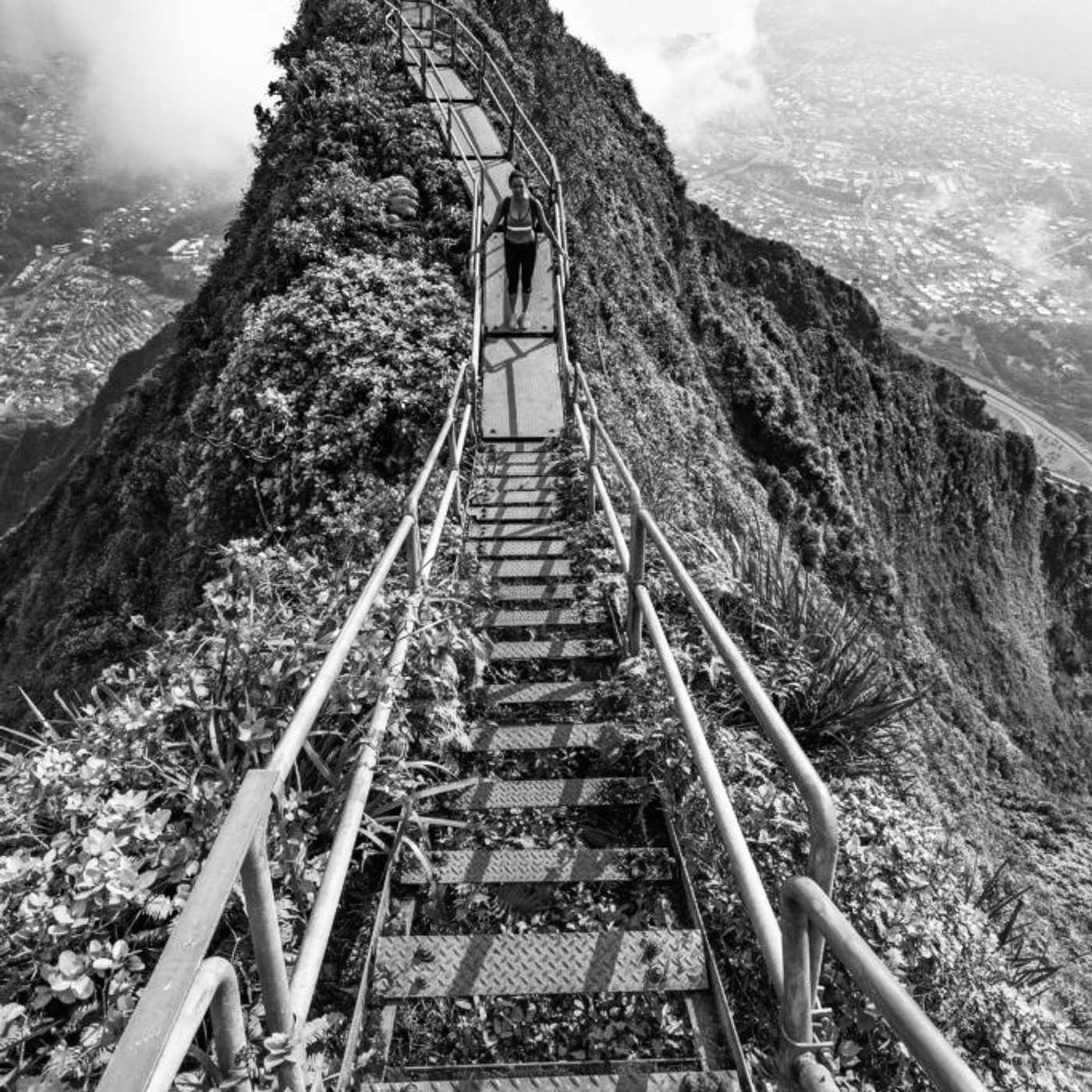 The Economy of Critical Race Theory: Power, Perception, and the Politics of Meaning