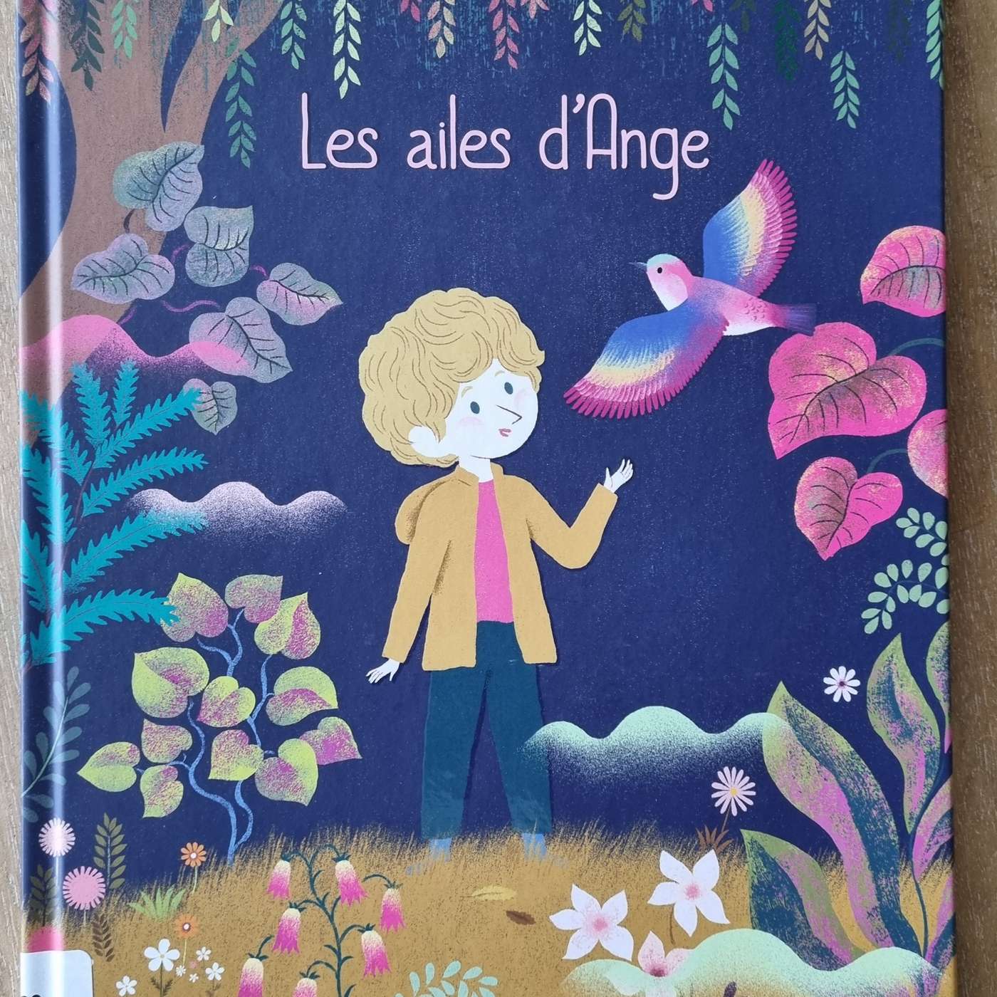 Les ailes d’Ange de Florence Dutruc-Rosset et Julie Faulques aux éditions Bayard Jeunesse