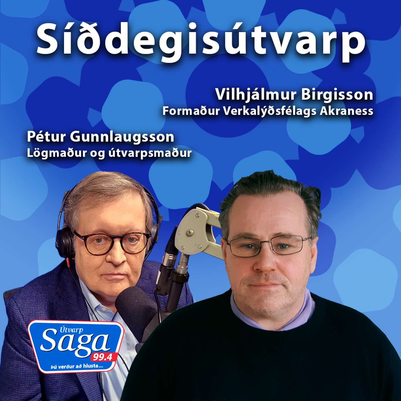 Hvalveiðar - Pétur Gunnlaugsson & Vilhjálmur Birgisson