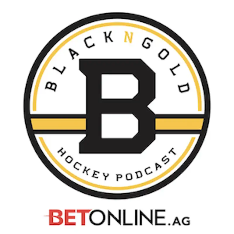 Boston Bruins 2021 Offseason Continues With Some News & Updates