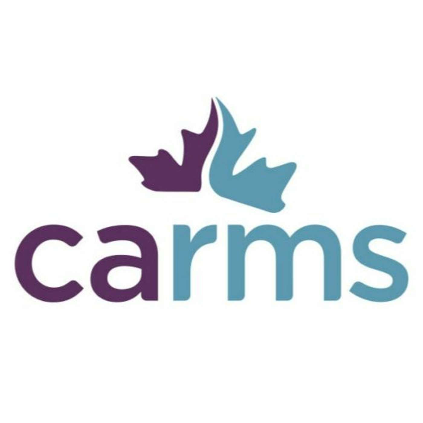 Carms General Advice 2023 episode artwork