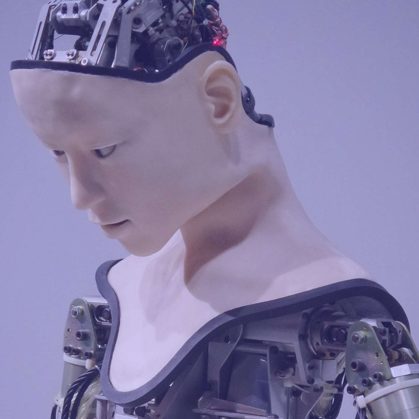 #324 | Artificial Intelligence & Language Learning