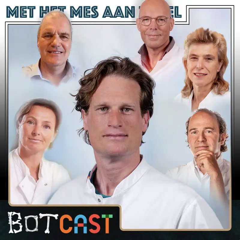 Orthopedie: Vijf Hoogleraren over Mentorschap