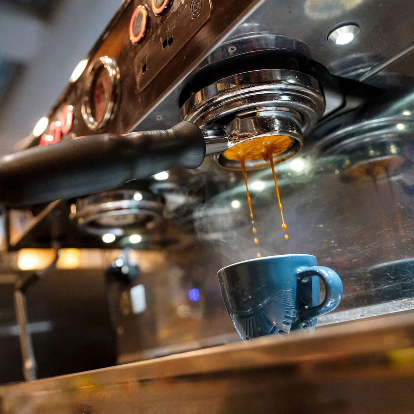 Businesses Confront Biodiversity Loss, Coffee Tea Slash Dementia Risk, AI Chatbots Fall Short Medical Advice, Invasive Lanternfly Spreads Fast, and more...