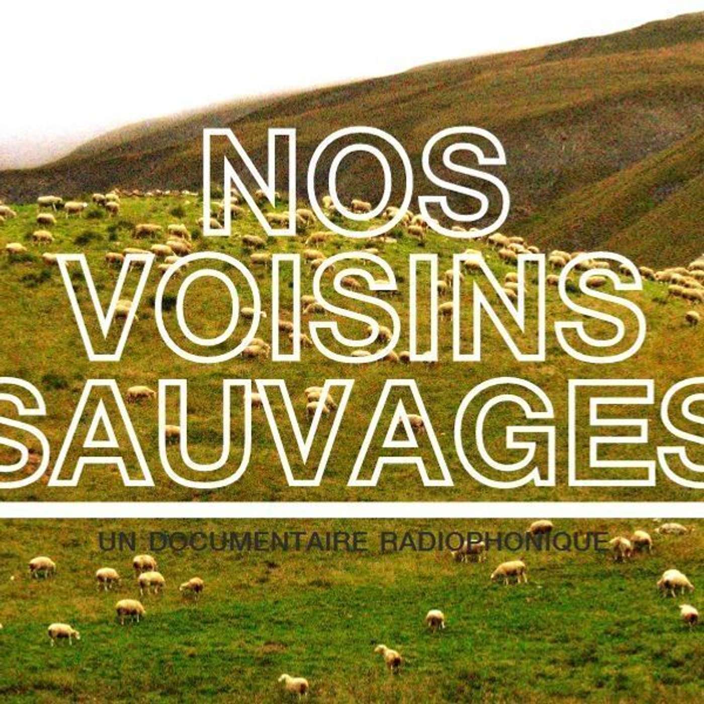 L'Art de l'écoute | Nos Voisins Sauvages & Espaces Évasifs