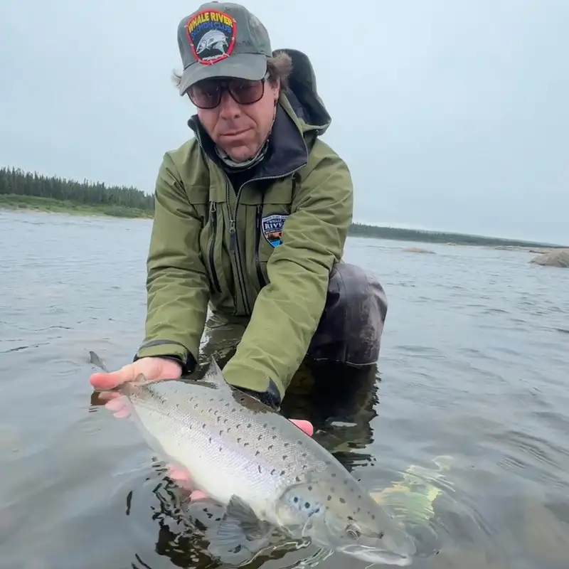 Why This CEO Is Investing in Nature