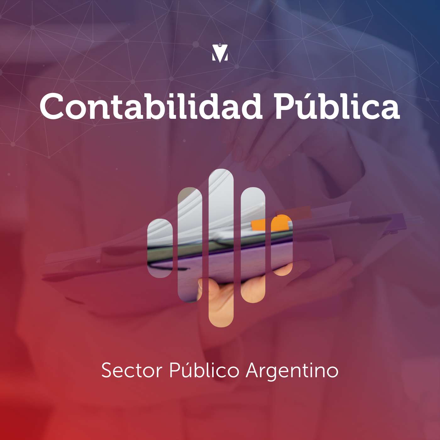 3 - CONTABILIDAD PÚBLICA: Sector Público Argentino