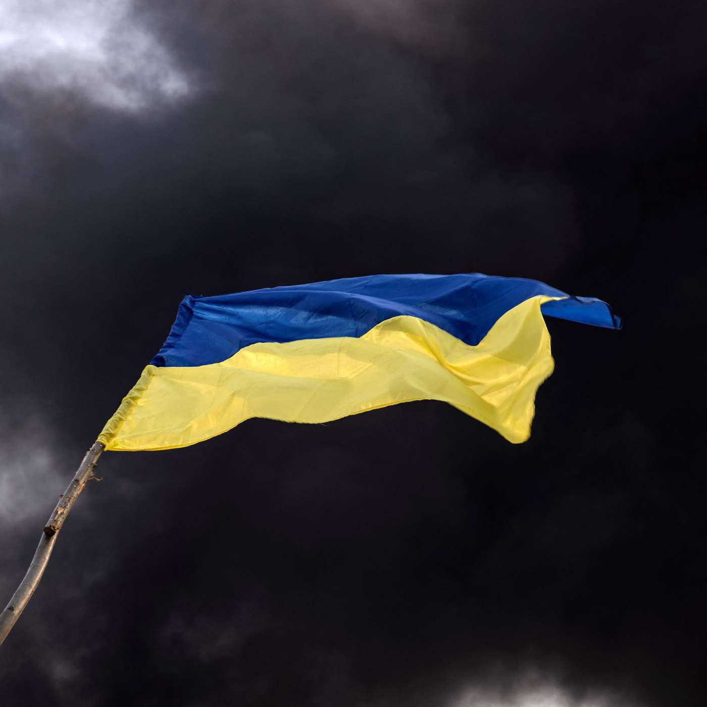 Can Ukraine survive?