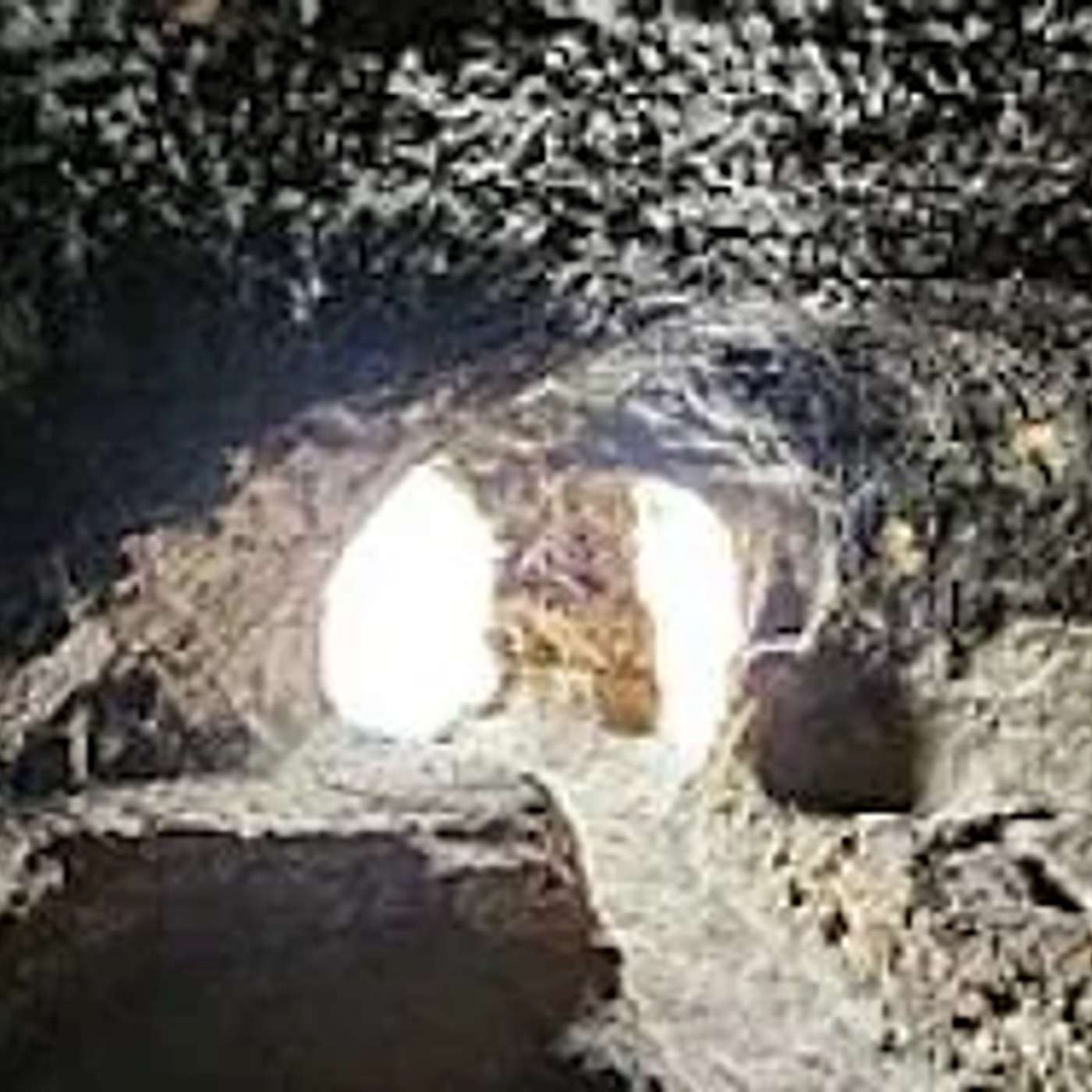 הרב יעקב ישראל פריד: סוד המערה של רבי שמעון בר יוחאי episode artwork