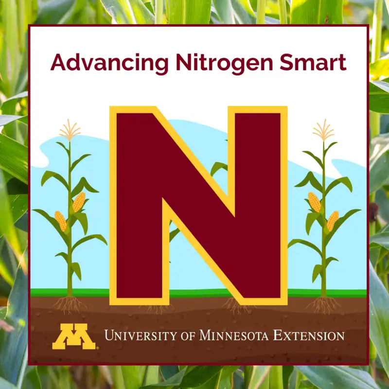 Nitrogen transformation up close: Key details for efficient fertilizer management