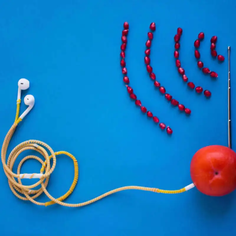 Você sabe falar inglês! {Special Guest!}