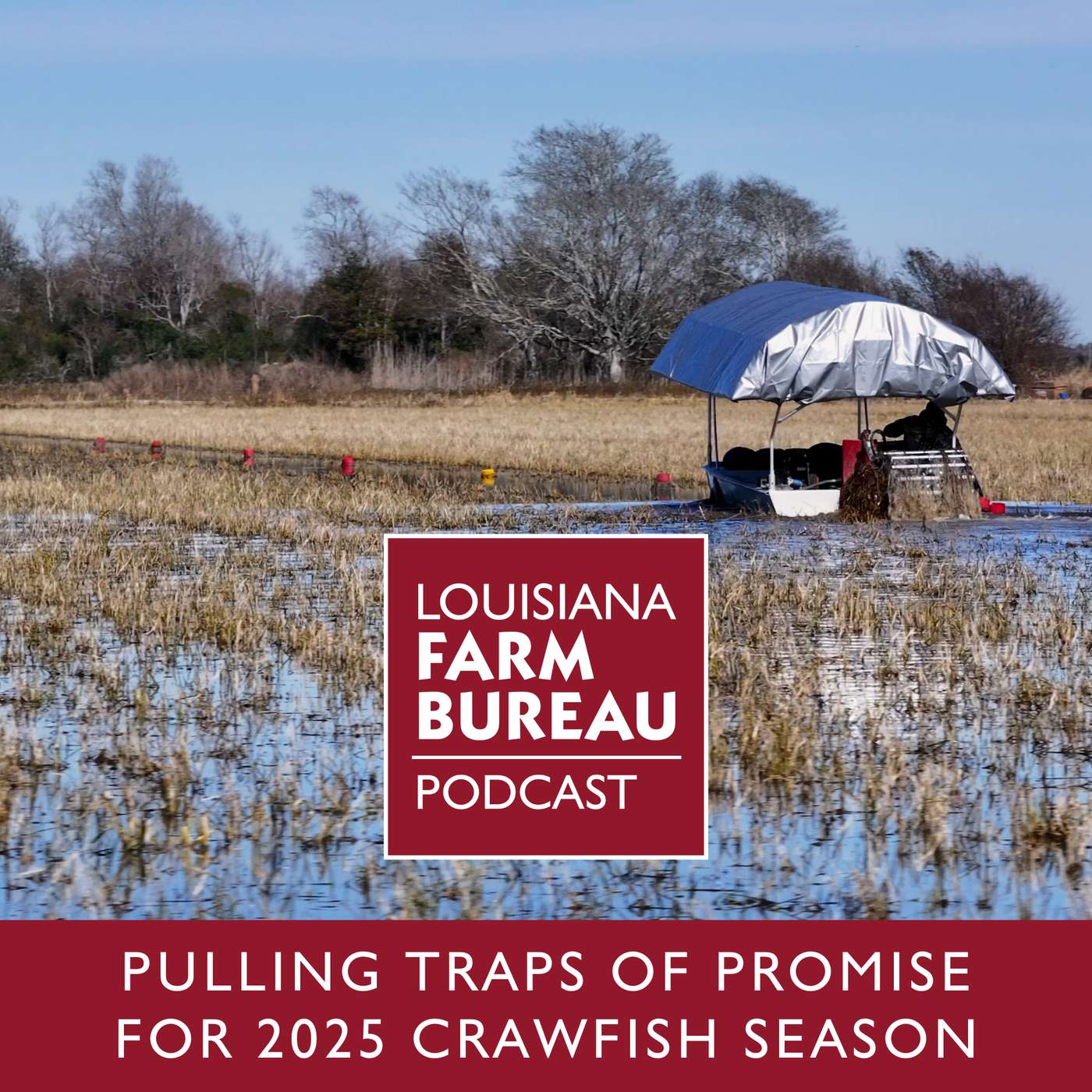 Pulling Traps of Promise for 2025 Crawfish Season Pulling Traps of Promise for 2025 Crawfish Season