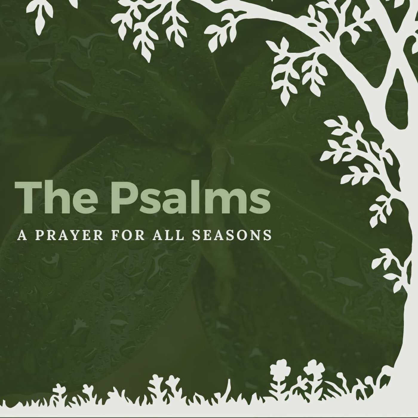 24.03.31 - The Psalms | A Prayer for Redemption episode artwork