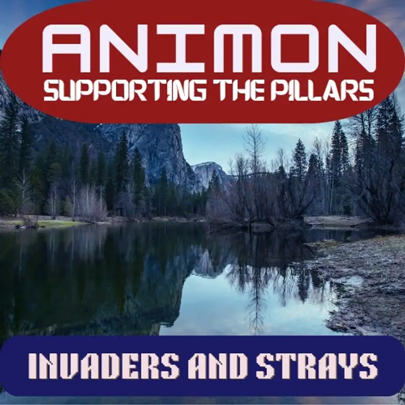 Supporting The Pillars - Invaders and Strays