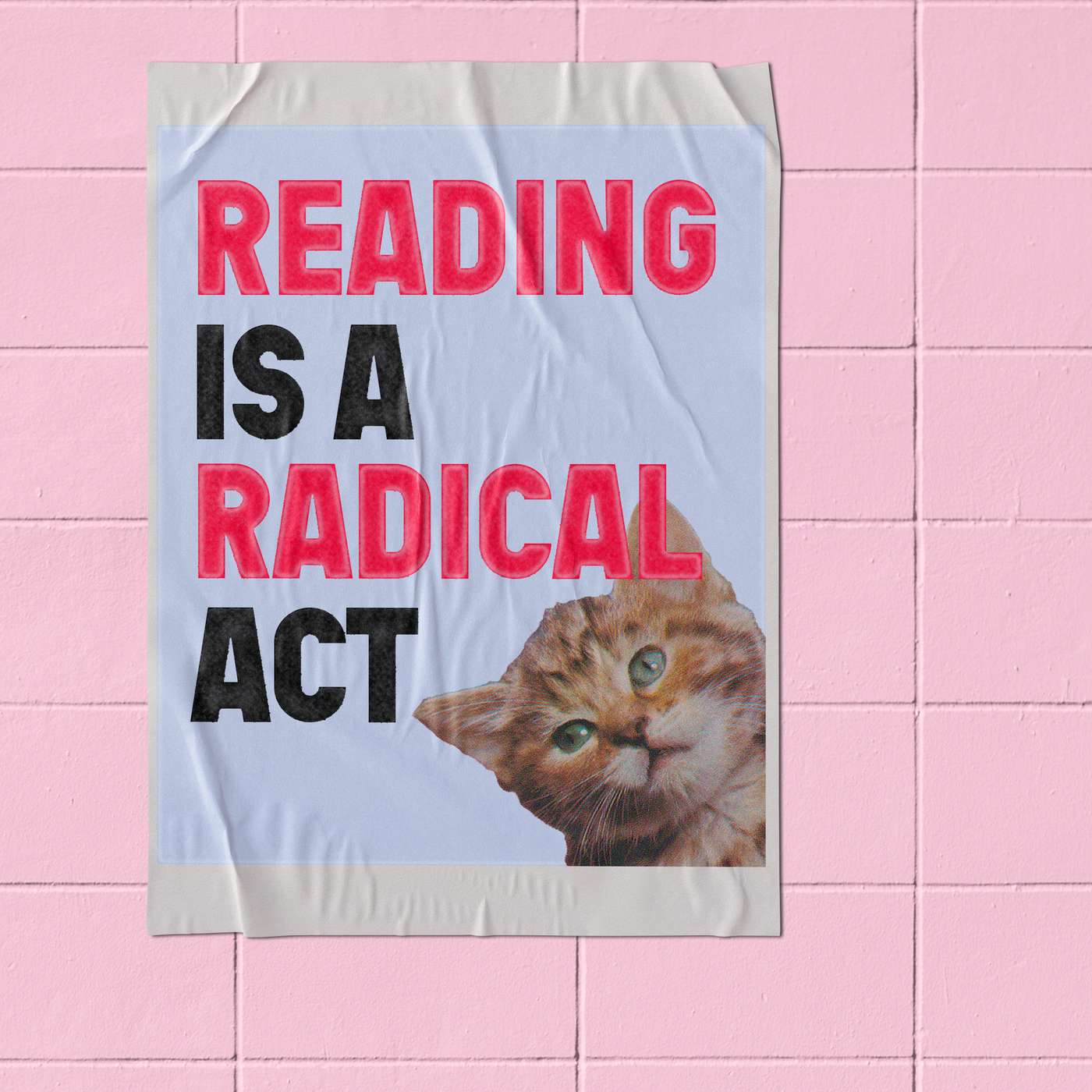 Episode 235: Reading, Writing, and Hanging out at the mall, with Jane and Molly of Content Queen Episode 235: Reading, Writing, and Hanging out at the mall, with Jane and Molly of Content Queen