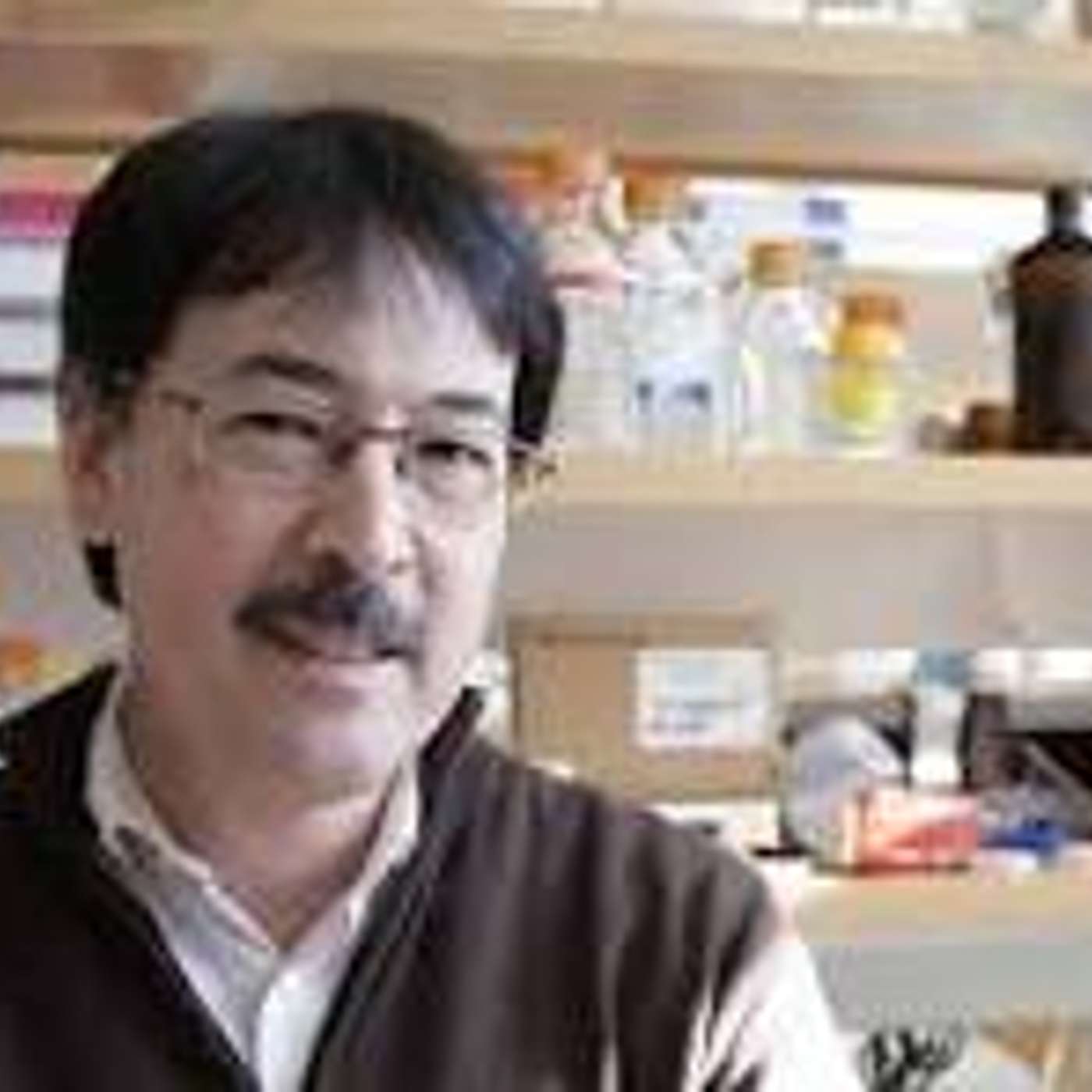 Cosmic Interview with Dr. David Hibbett; Biology Professor at Clark University with an focus on Evolutionary Mycology Cosmic Interview with Dr. David Hibbett; Biology Professor at Clark University with an focus on Evolutionary Mycology