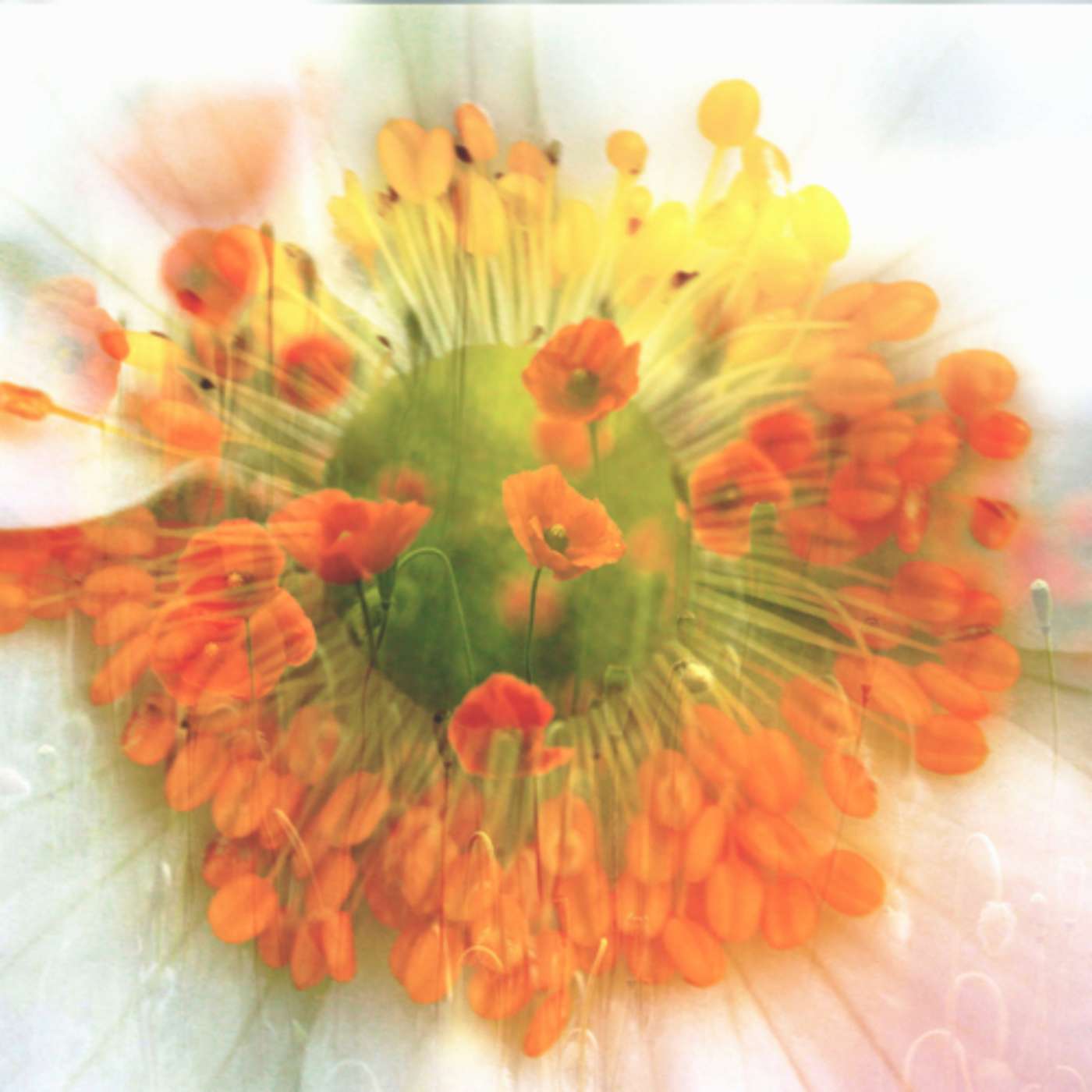 The Ten Thousand Things