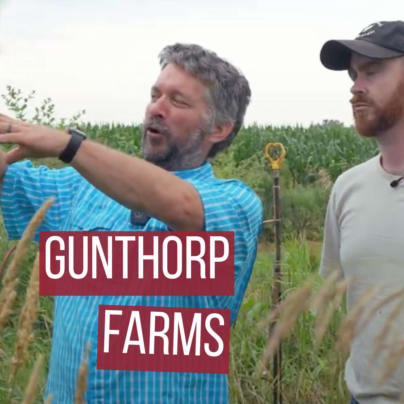 Touring A USDA-Inspected On-Farm Processing Facility - How Farms Are Treated Differently Based On Size (live Farm Tour) - Gunthorp Farms | #113