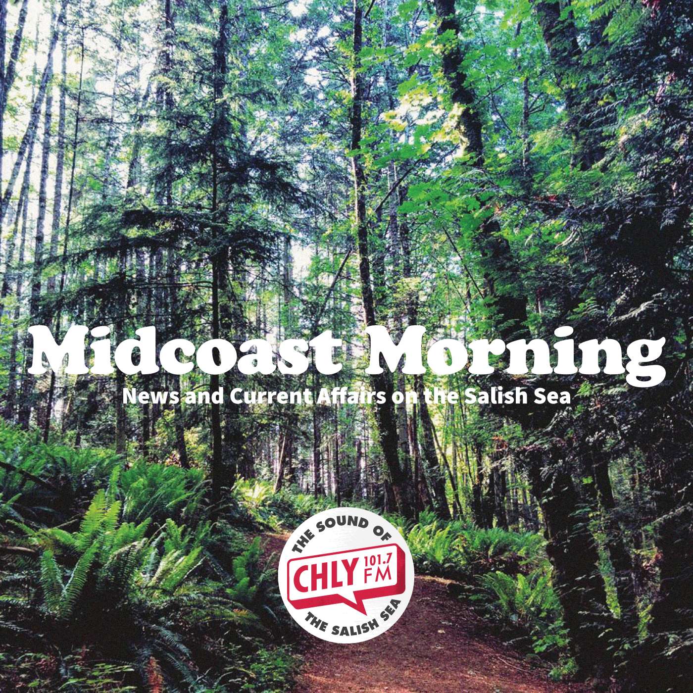 Midcoast Morning